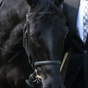 2014.2.1 テレビ山梨杯