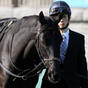 2015.2.15　東京10R 雲雀S