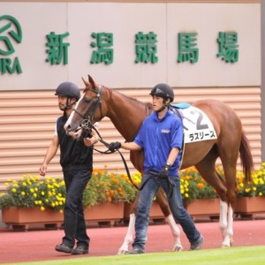 2011年8月20日 新潟競馬場 6R 新馬戦