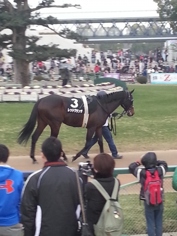 大津特別  パドック レッドグランザ