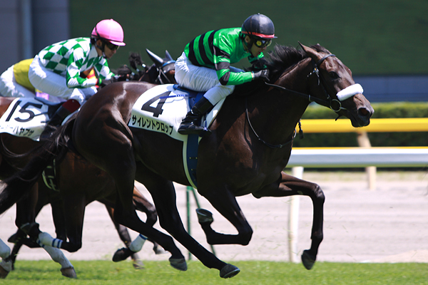 新馬戦　レース サイレントクロップ