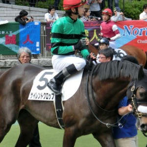 2013/05/25　東京　２着時　パドック