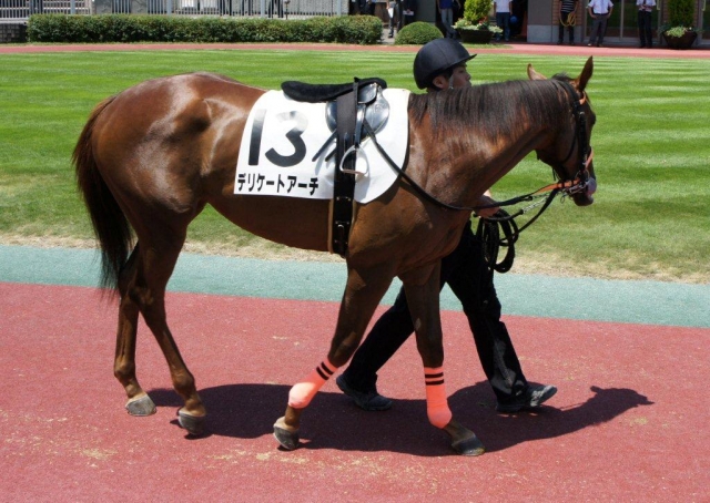 メイクデビュー新潟 デリケートアーチ