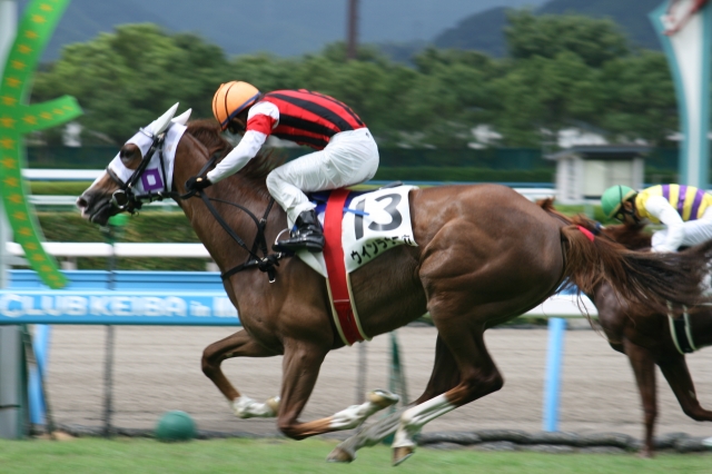 8/6小倉未勝利戦　ゴール直前で差しきる！ ウインラウニカ