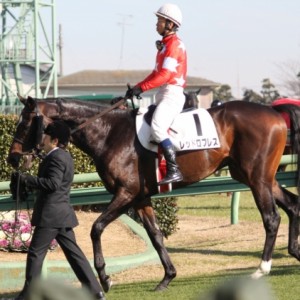 201112未勝利戦レース後