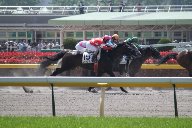 東京D1600m未勝利戦レース レッドロブレス