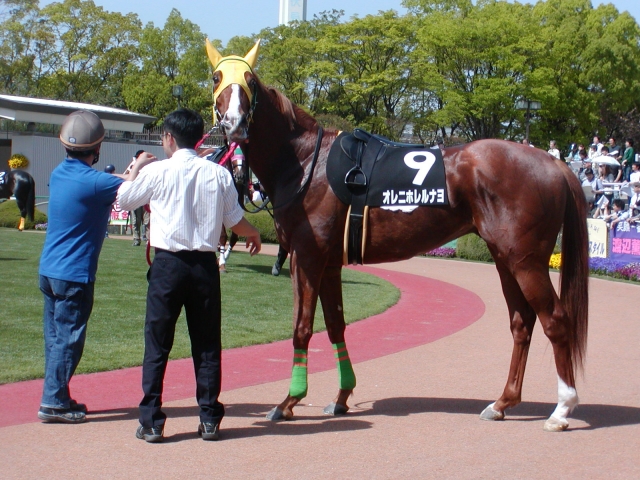 ２０１２年３月２８日　京都　パドック オレニホレルナヨ