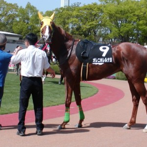 ２０１２年３月２８日　京都　パドック
