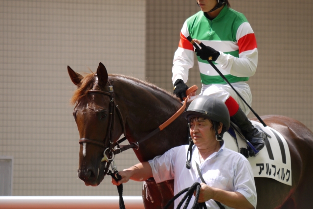 新馬戦 アルフィルク