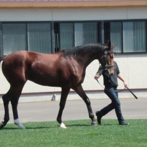 坂東牧場さんにて