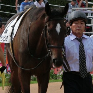 2012 10 8 京都8R 3歳500万下　優勝時