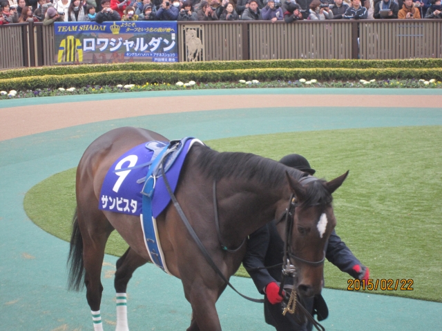 パドック④ サンビスタ