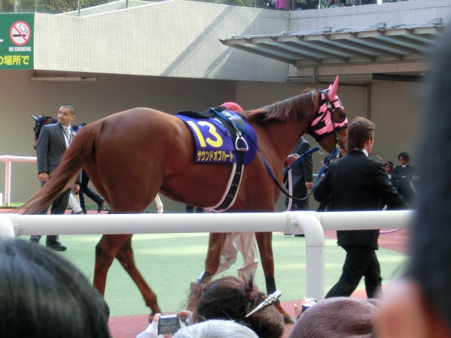 桜花賞パドック サウンドオブハート