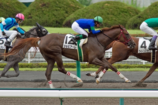 2012/07/07　3歳未勝利・牝　その3 ジョビアーレ
