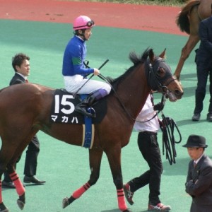 刈谷特別（中京競馬場）