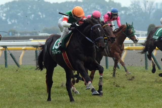 東京新聞杯 アルフレード