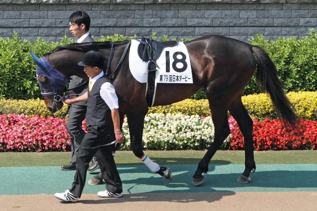 日本ダービー アルフレード