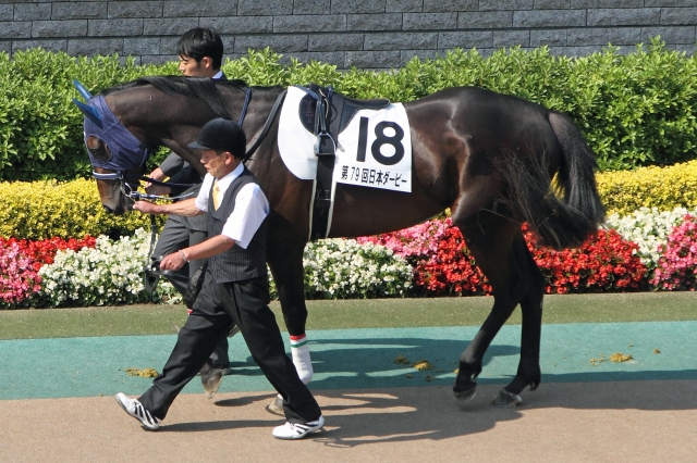 日本ダービー アルフレード