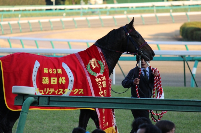 朝日杯FS アルフレード アルフレード
