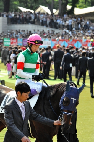 東京優駿パドック アルフレード