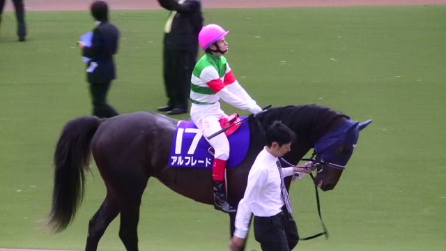 ＮＨＫマイル アルフレード
