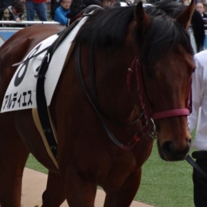 １０００万下条件戦パドック