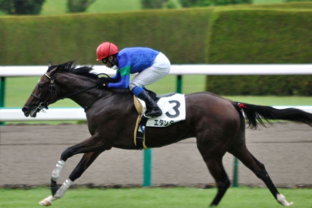 新馬戦　勝利を確信したゴール前 エタンダール