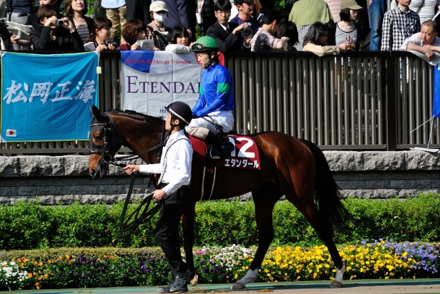 青葉賞　パドック エタンダール