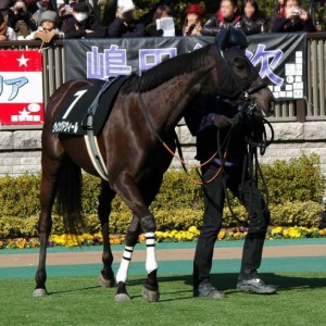 2月22日　東京９R　初音ステークス