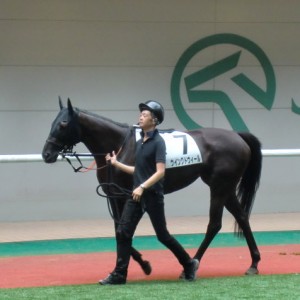 20130714福島8Rパドック