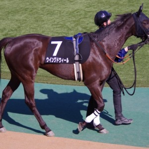 140222初音Sパドック