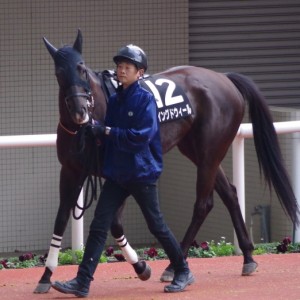 140315うずしおSパドック