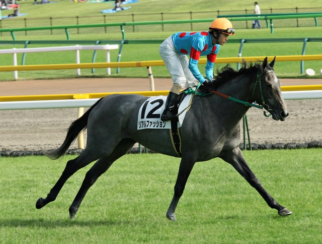 サラ系3歳上500万円以下  リアルファッション