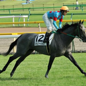 サラ系3歳上500万円以下 