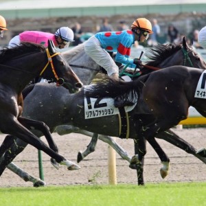 サラ系3歳上500万円以下 