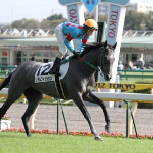 3歳500万下　返し馬