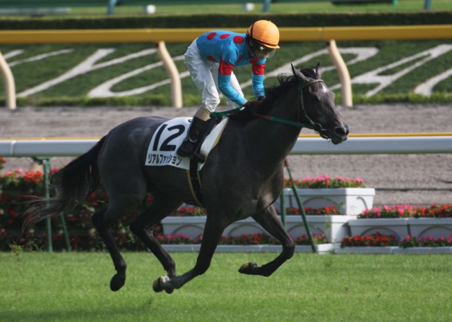 府中三歳500万以下　返し馬 リアルファッション