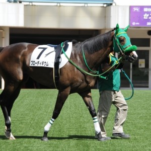 2012／9/17　パドック