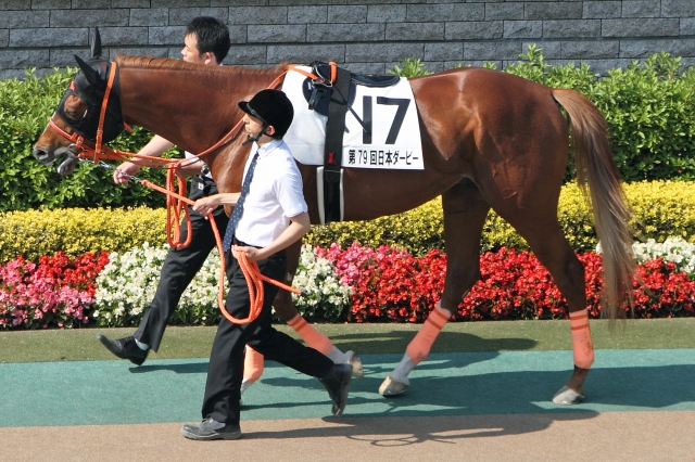 2012年 5月27日　日本ダービー グランデッツァ