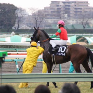 若竹賞ゲート前