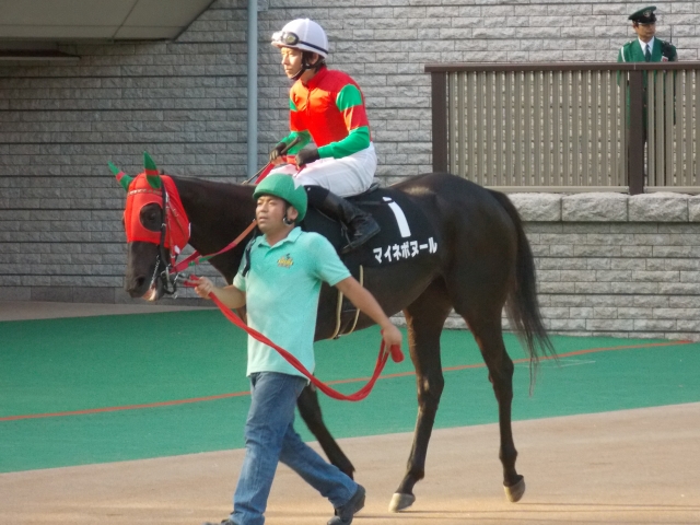 白秋Sのパドック マイネボヌール