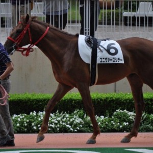 2011/9/4　小倉　新馬戦パドック