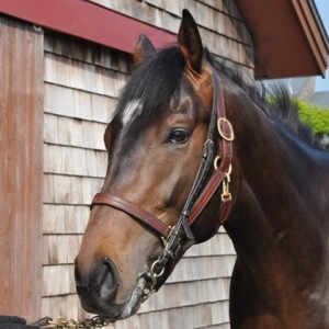 ファンタストクラブにて