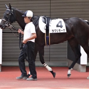 500万下パドック