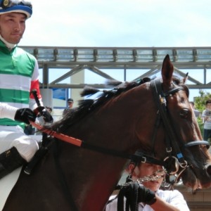 新馬戦パドック