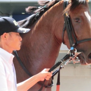 新馬戦パドック