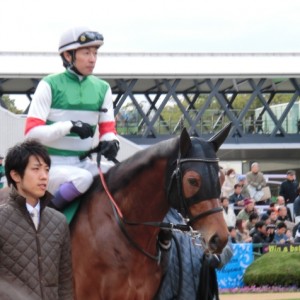 シンザン記念パドック
