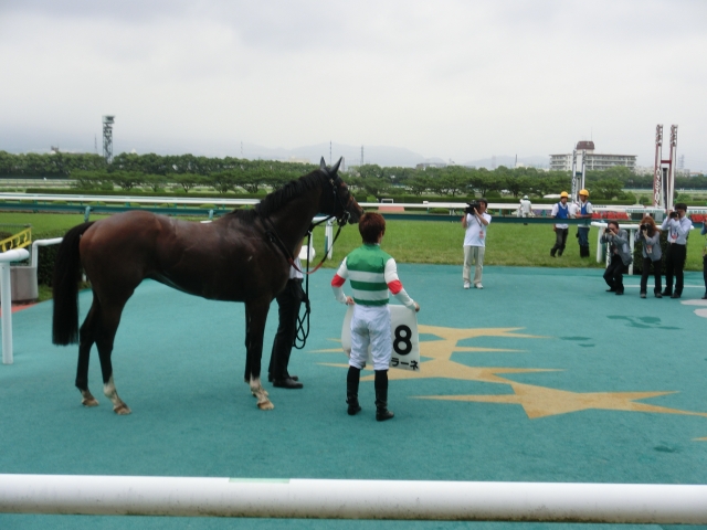 ６月９日③ グラーネ