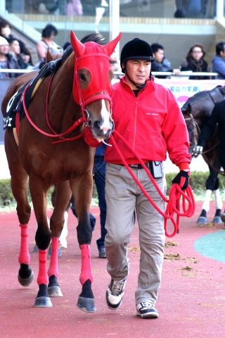 中京競馬場 （西尾特別） フェニーチェ