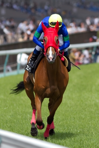 2013/06/15　東京・日野特別 フェニーチェ